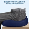 image:image5 STARS UNITED Seat Cushion  Memory Foam Chair Cushion for Tailbone Pain Relief  Ergonomic Support for Coccyx Sciatica amp Butt  Office Desk amp Gaming Chair Car Seat Wheelchair Blue MeshBlue Mesh